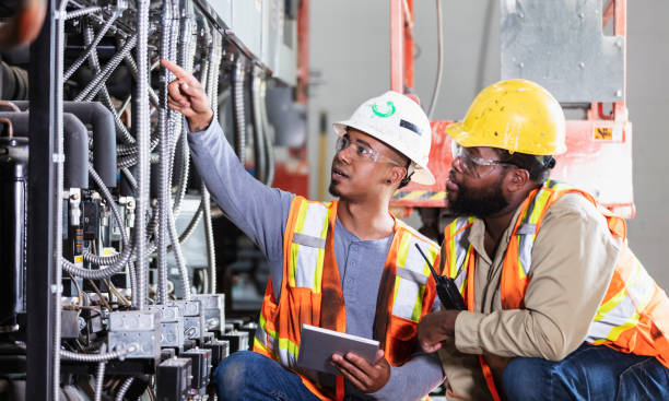 Best Electric Panel Repair  in Louise, TX