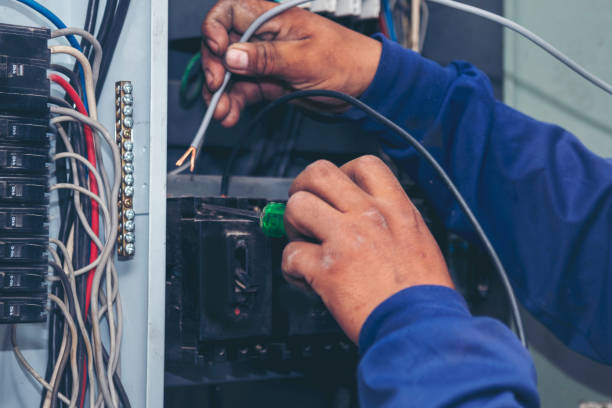 Best Electrical Troubleshooting Services  in Louise, TX