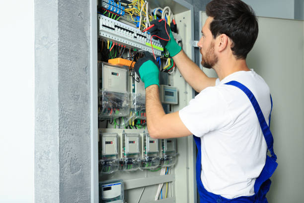 Best Home Electrical Repair  in Louise, TX