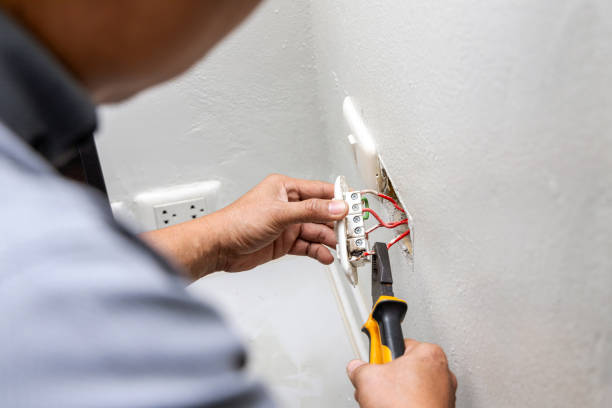 Best Electrical System Inspection  in Louise, TX