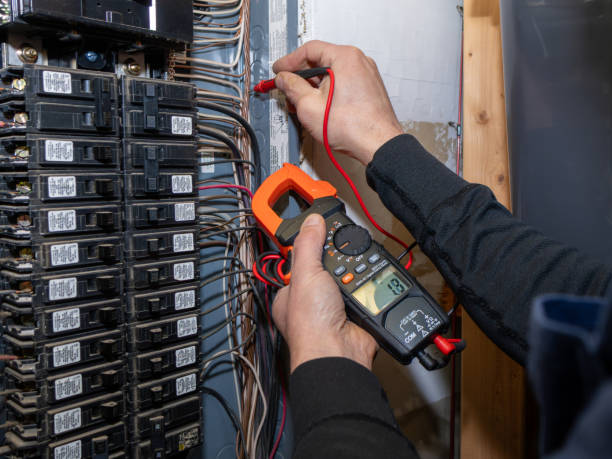 Best Licensed Electrician  in Louise, TX