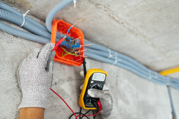 Best Licensed Electrician  in Louise, TX